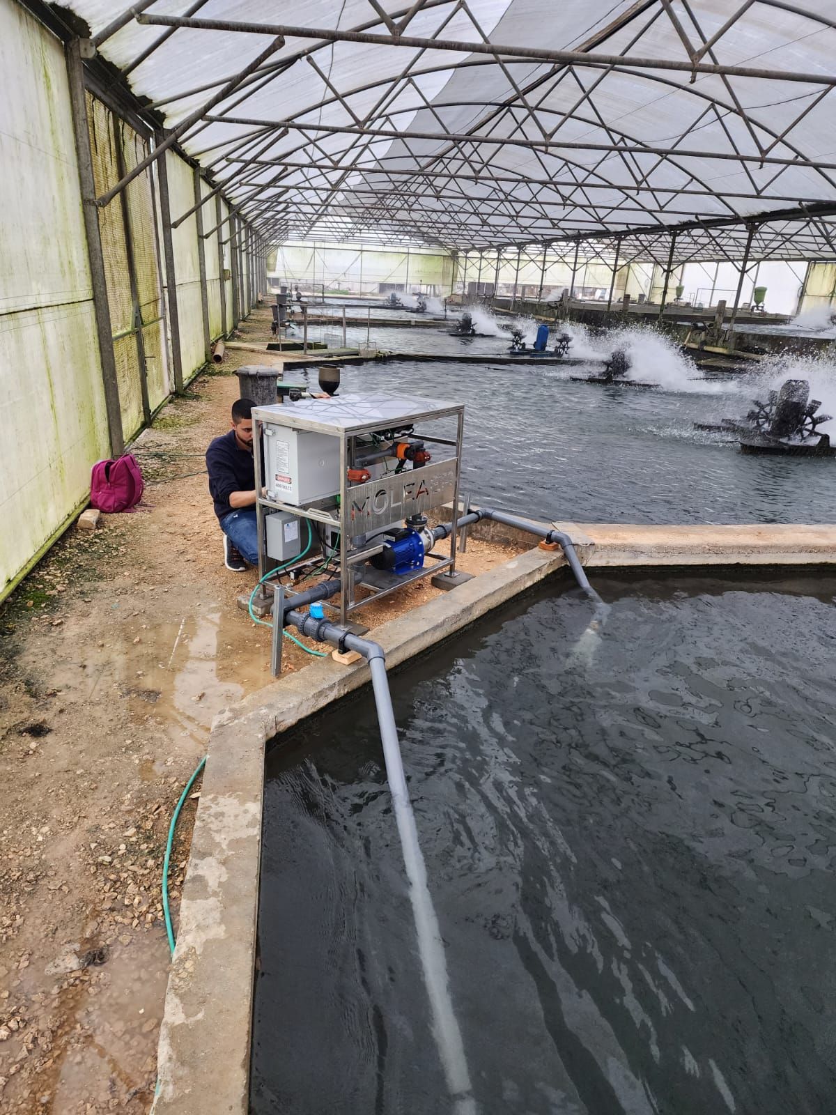 Estanques de acuicultura con sistema de oxigenación